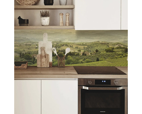 Küchenrückwand mit Landschaftsmotiv in einer modernen Küche