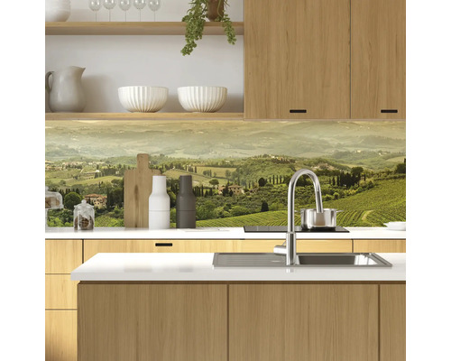 Küchenszene mit Spüle, Armatur, Küchenrückwand mit Landschaftsmotiv und Holzelementen