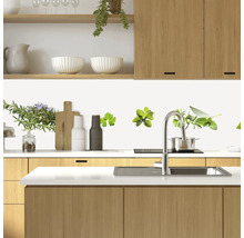 Küchenrückwand mySpotti Profix Kräuter 270 x 60 cm PX-27060-12-HB
