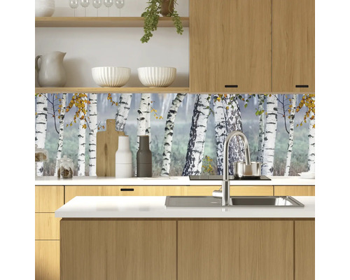 Küchenrückwand mit Birkenwald-Motiv in einer modernen Küche