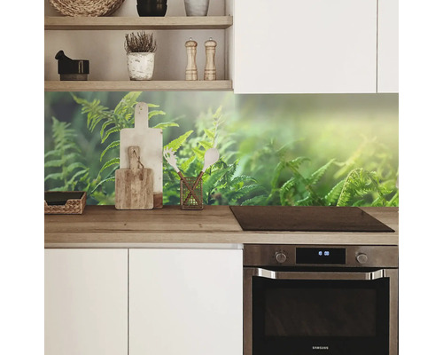 Küchenrückwand mit Farnmotiv in einer modernen Küche