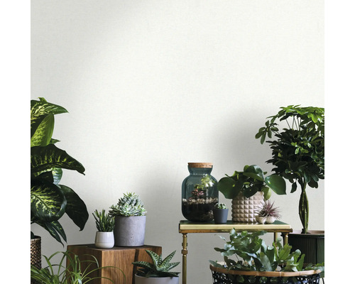 Helle, dekorative Zimmerpflanzen in verschiedenen Töpfen und Behältern.