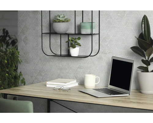 Schreibtisch mit Laptop, Pflanzen und Dekoration