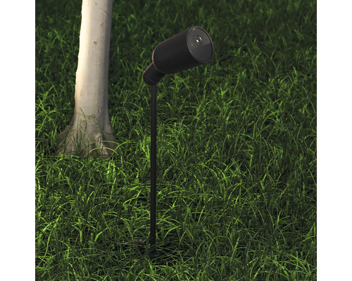 Gartenleuchte auf Rasen neben Baum