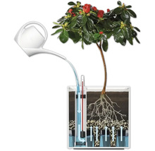 Illustration eines Bewässerungssystems für Pflanzen mit Wasserkanne und Wasserstandsanzeige