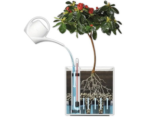 Illustration eines Bewässerungssystems für Pflanzen mit Wasserkanne und Wasserstandsanzeige