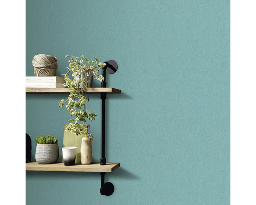 Dekorative Wand mit zwei Regalböden, Pflanzen und Dekoartikeln