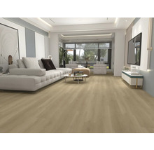 Heller Wohnraum mit Laminatboden, Sofa, Couchtisch und Fernseher.