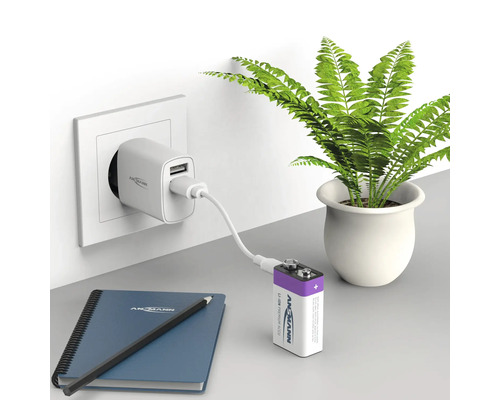 Ansmann Ladegerät lädt 9-Volt-Blockbatterie mit Notizbuch und Pflanze