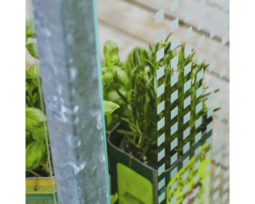 Detailaufnahme eines Gewächshauses mit Kräutern