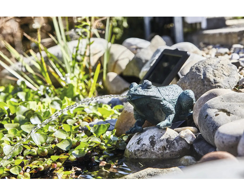 Froschfigur als Wasserspeier im Gartenteich mit Steinen und Pflanzen