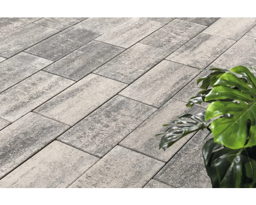 Verlegung mit Pflastersteinen im Außenbereich und dekorativer Bepflanzung