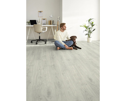 Heller Raum mit Laminatboden, Mann und Hund sitzen auf dem Boden