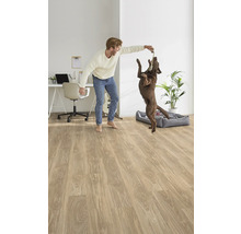 Heller Raum mit Laminatboden, Schreibtisch, Mann und Hund beim Spielen