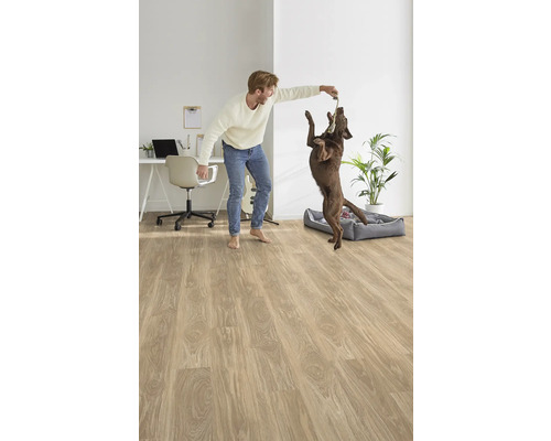 Heller Raum mit Laminatboden, Schreibtisch, Mann und Hund beim Spielen