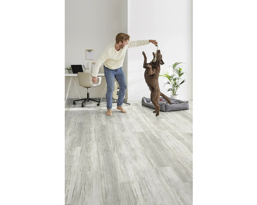 Heller Raum mit Holzoptik-Boden, ein Mann spielt mit einem Hund