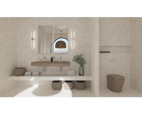 Badezimmer mit Waschbecken, Spiegeln, Dekorationen und Toilette
