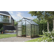 Gewächshaus im Garten mit Pflanzen