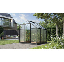 Gewächshaus mit Pflanzen im Garten