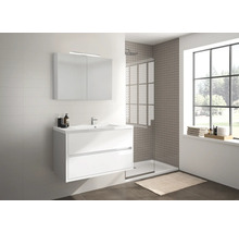 Modernes Badezimmer mit Waschtischunterschrank, Spiegelschrank und Dusche.