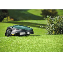 Mähroboter auf Rasenfläche