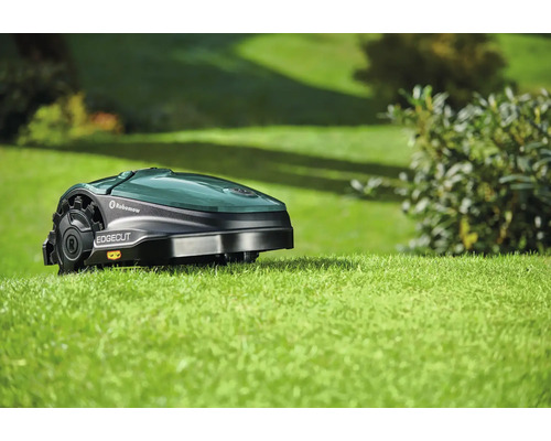 Mähroboter auf Rasenfläche