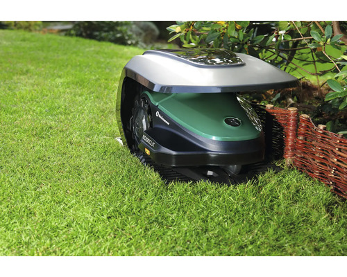 Rasenmähroboter auf Rasenfläche