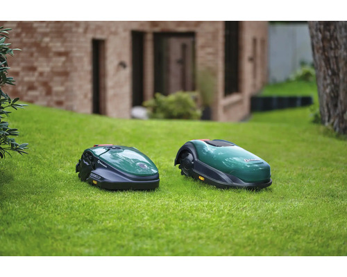 Zwei Rasenmähroboter auf einer Rasenfläche vor einem Haus.