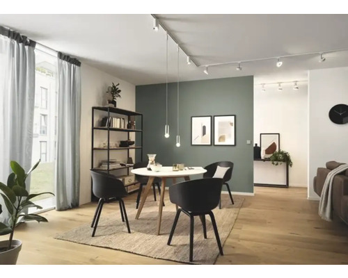 Wohnzimmer mit Esstisch, Stühlen und Regalsystem