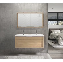 Badezimmer mit Waschtischunterschrank, Doppelwaschbecken und Spiegelschrank