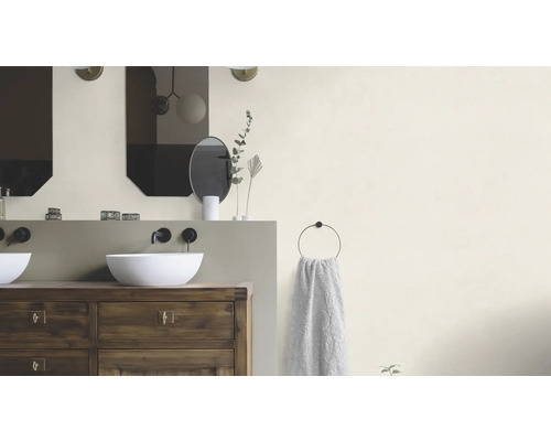 Badezimmer mit Waschbecken, Spiegeln und Handtuchhalter