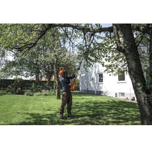 Mann mit Hochentaster im Garten beim Baumschnitt