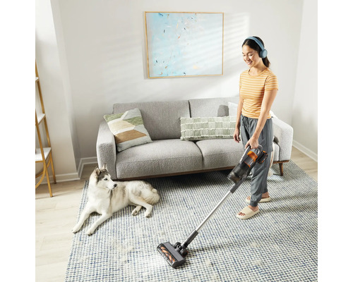 Eine Frau staubsaugt mit einem Akku-Staubsauger einen Teppich in einem Wohnzimmer, während ein Hund zusieht.