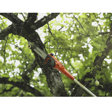 Husqvarna Hochentaster beim Beschneiden eines Astes im Garten