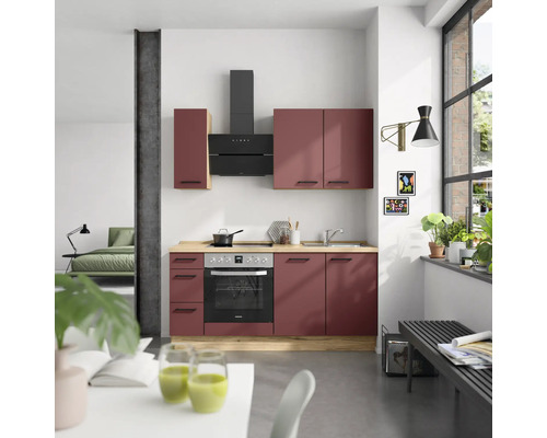 Moderne Küche mit Hochschrank, Dunstabzugshaube, Hängeschränken, Spüle und Einbaubackofen in einem hellen Raum.