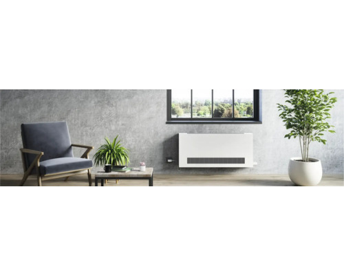 Wohnzimmer mit Heizkörper, Sessel, Tisch und Zimmerpflanzen für eine gemütliche Atmosphäre.