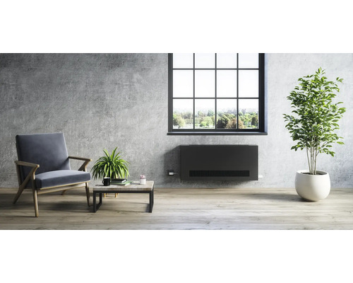 Modernes Wohnzimmer mit Heizkörper, Sessel, Tisch und Zimmerpflanzen.