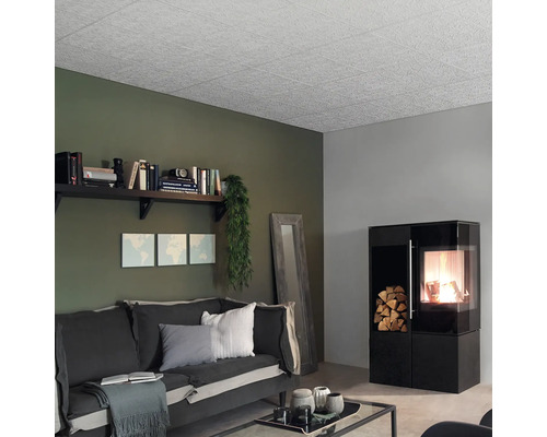 Wohnzimmer mit Deckenpaneelen, Regal, Sofa und Kaminofen