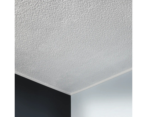 Detailaufnahme einer Deckenplatte mit Muster