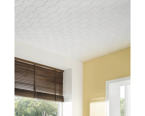 Decke mit Deckenpaneelen in einem Raum