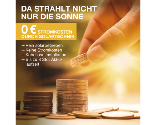 Solartechnik-Konzept mit Geldstücken und dem Hinweis auf null Euro Stromkosten