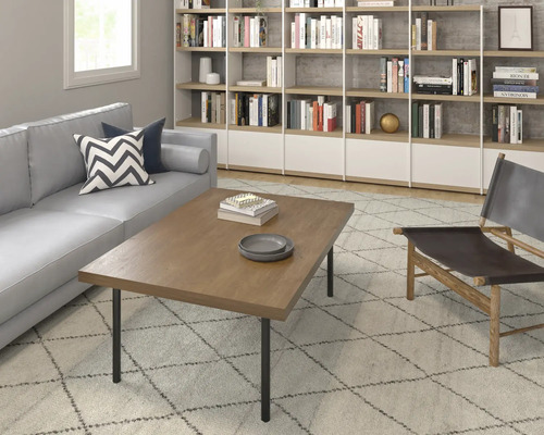 Wohnzimmer mit Sofa, Teppich, Couchtisch, Stuhl und Bücherregal