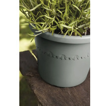 Pflanzgefäß mit Pflanze auf Holzoberfläche