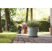 Blumentöpfe mit Pflanzen auf einer Terrasse im Garten.