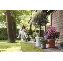 Szene im Garten mit Mann und Frau, die sich huckepack trägt, sowie verschiedenen Blumen in Blumentöpfen