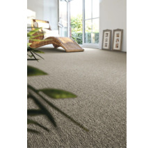 Teppichboden Schlinge Rambo beige FB70 500 cm breit (Meterware)