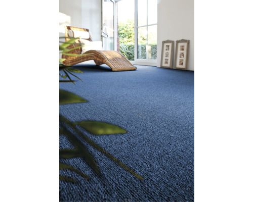 Wohnzimmer mit blauem Teppichboden und Korbliege