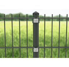 Pfosten 6 x 4 x 240 cm für Zaun 183 cm Höhe RAL 6005 moosgrün