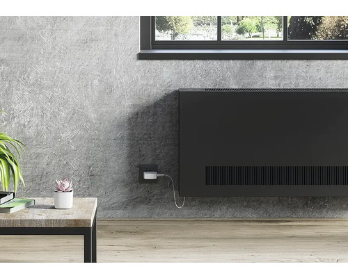 Szene mit einem schwarzen Heizkörper an einer Wand, einem Tisch mit Pflanzen und einem Fenster