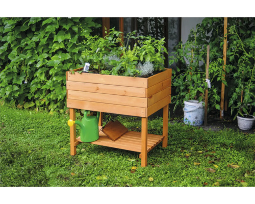 Hochbeet aus Holz mit Kräutern und Gießkanne im Garten